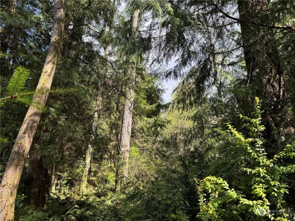 Listing Image #3 - Land for sale at 12512 WESTBROOK DRIVE SW, PORT ORCHARD WA 98367