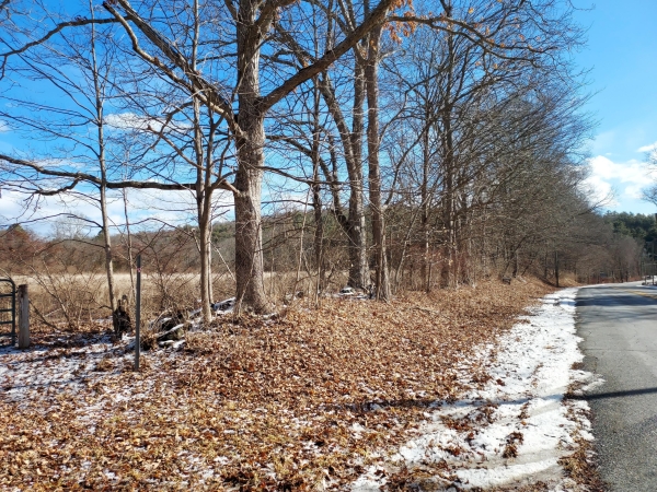 Listing Image #2 - Land for sale at Old Hartford Road, Hebron CT 06248