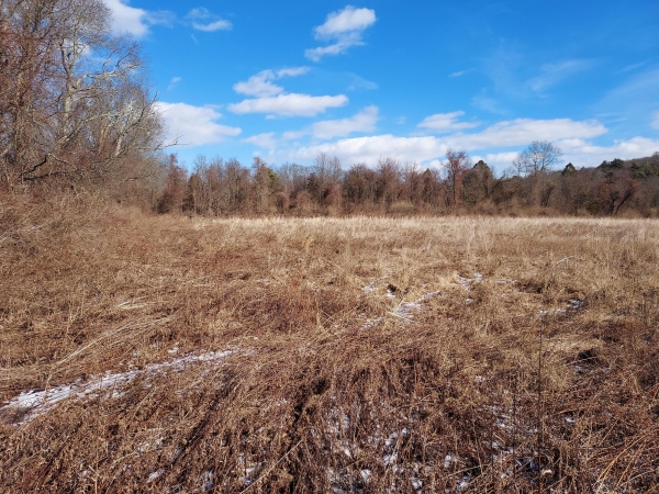 Listing Image #3 - Land for sale at Old Hartford Road, Hebron CT 06248