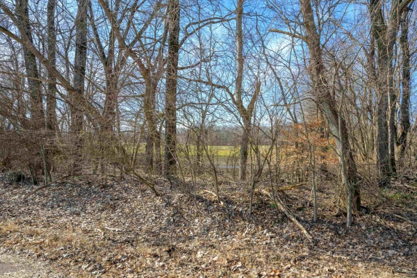 Listing Image #3 - Land for sale at MONTGOMERY RD, UNINCORPORATED TN 38015