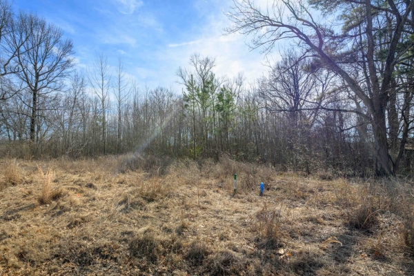 Listing Image #2 - Multi-family for sale at HWY 59 HWY, UNINCORPORATED TN 38015