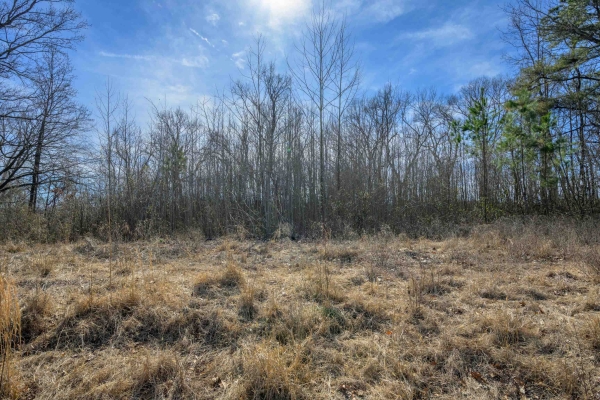 Listing Image #3 - Multi-family for sale at HWY 59 HWY, UNINCORPORATED TN 38015