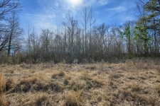 Listing Image #3 - Multi-family for sale at HWY 59 HWY, UNINCORPORATED TN 38015