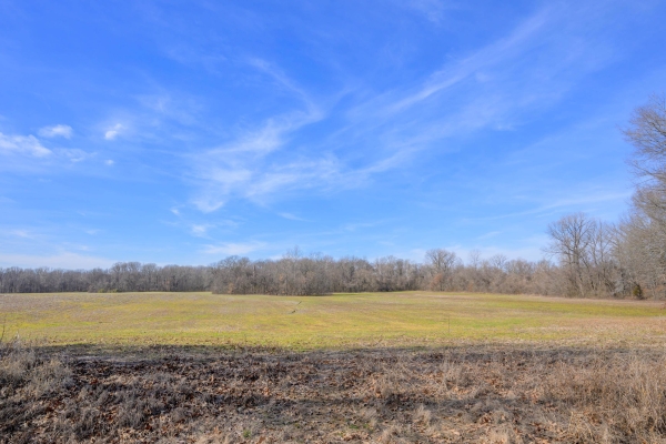 Listing Image #2 - Land for sale at HWY 59 HWY, UNINCORPORATED TN 38015