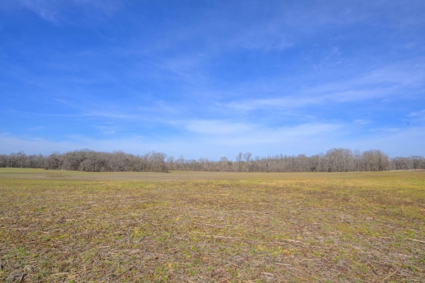 Listing Image #3 - Land for sale at HWY 59 HWY, UNINCORPORATED TN 38015