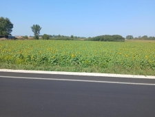 Others property for sale in Kossuth, WI