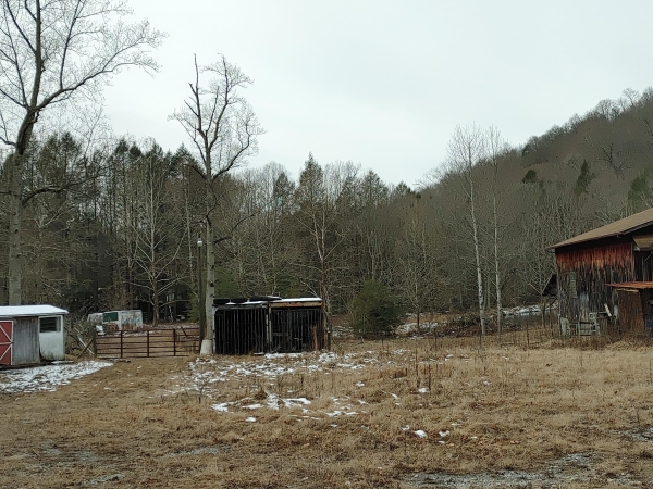 Listing Image #2 - Others for sale at 00 Ky Hwy 217, Middlesboro KY 40965
