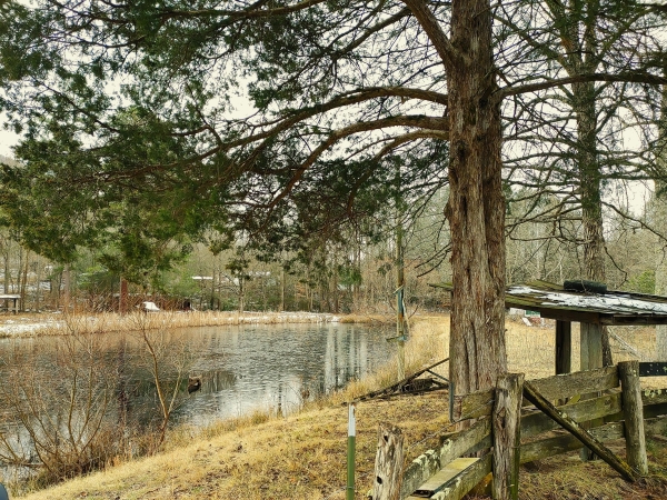 Listing Image #3 - Others for sale at 00 Ky Hwy 217, Middlesboro KY 40965