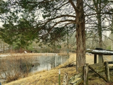 Listing Image #3 - Others for sale at 00 Ky Hwy 217, Middlesboro KY 40965