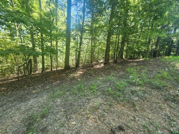 Listing Image #2 - Land for sale at Lot 3 Meadow View Drive, Morganton GA 30560