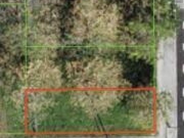 Listing Image #1 - Others for sale at 0 S Lake Avenue, Pahokee FL 33476