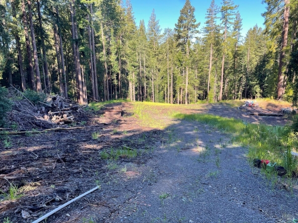 Listing Image #3 - Land for sale at 15210 Bittner Rd, Occidental CA 95465