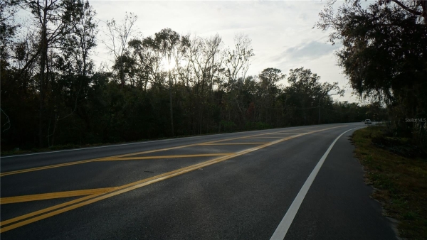 Listing Image #2 - Others for sale at 0 CR-48, YALAHA FL 34797