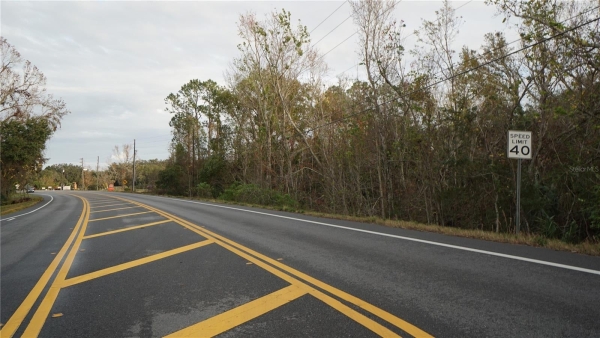 Listing Image #3 - Others for sale at 0 CR-48, YALAHA FL 34797