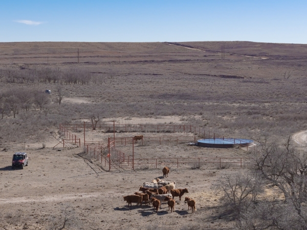 Listing Image #3 - Land for sale at Christner Ranch, Wheeler TX 79096