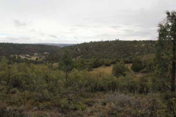 Listing Image #2 - Land for sale at 1980 W Manitoban Trail, Duck Creek Village UT 84762