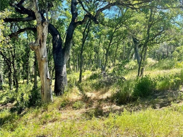 Listing Image #2 - Land for sale at 15336 Brannan Street, Clearlake CA 95422