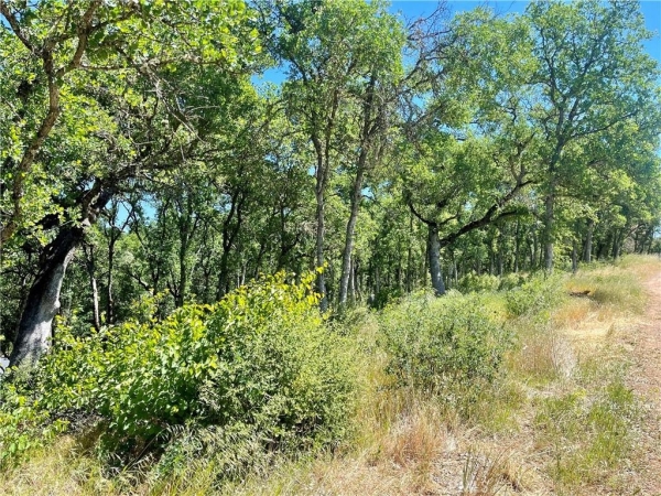 Listing Image #3 - Land for sale at 15336 Brannan Street, Clearlake CA 95422