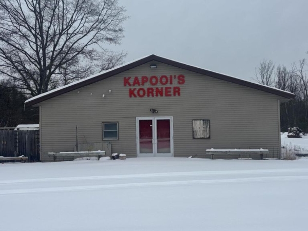 Listing Image #1 - Others for sale at 12016 N Woodbridge Avenue, Bitely MI 49309