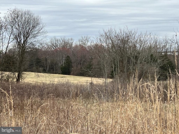 Listing Image #3 - Others for sale at 6485 S Seminole Trail, Rochelle VA 22738