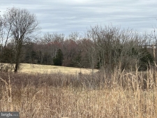Listing Image #3 - Others for sale at 6485 S Seminole Trail, Rochelle VA 22738
