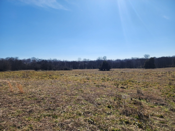Listing Image #2 - Others for sale at 0 Hwy 43, Lawrenceburg TN 38464