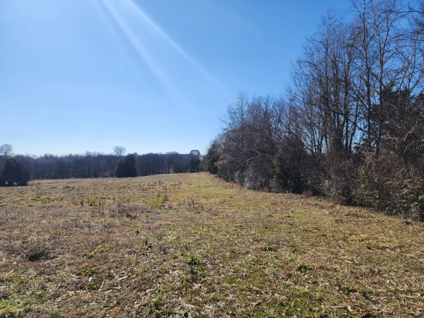 Listing Image #3 - Others for sale at 0 Hwy 43, Lawrenceburg TN 38464