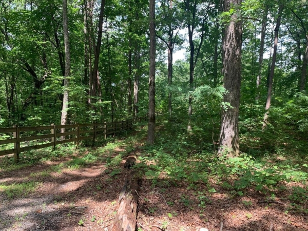 Listing Image #1 - Land for sale at Lot 89 Broken Bow Trail, Young Harris GA 30582