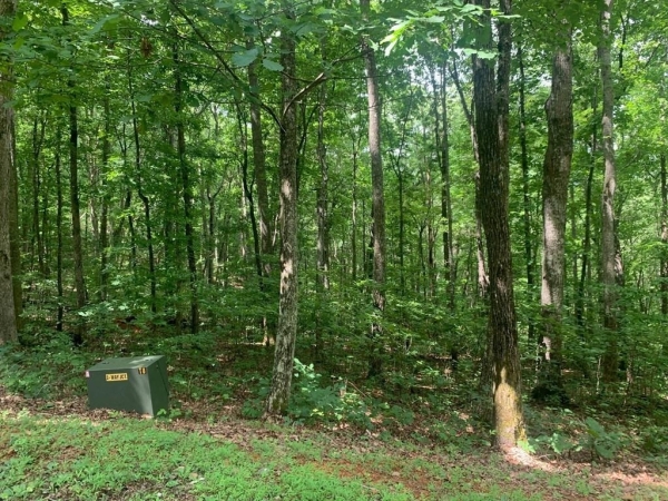 Listing Image #2 - Land for sale at Lot 89 Broken Bow Trail, Young Harris GA 30582