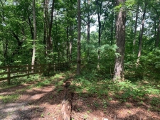 Listing Image #1 - Land for sale at Lot 89 Broken Bow Trail, Young Harris GA 30582