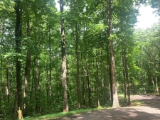 Listing Image #3 - Land for sale at Lot 89 Broken Bow Trail, Young Harris GA 30582