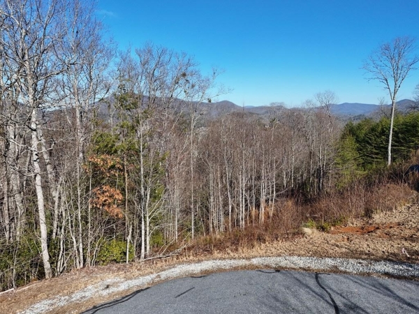 Listing Image #3 - Land for sale at 2376 Haven Heights Road, Hiawassee GA 30546