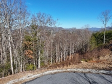 Listing Image #3 - Land for sale at 2376 Haven Heights Road, Hiawassee GA 30546