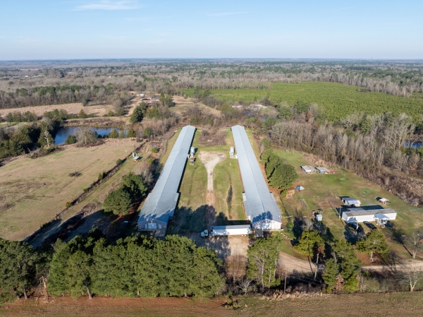 Listing Image #2 - Others for sale at 2420 Lavender Rd, Gilmer TX 75644