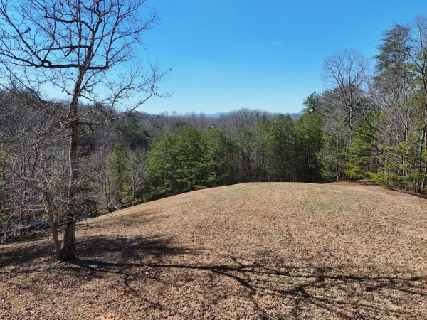 Listing Image #3 - Land for sale at Lt 13/14 S Williamstown Ridge, Mineral Bluff GA 30559