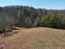 Listing Image #2 - Land for sale at Lt 13/14 S Williamstown Ridge, Mineral Bluff GA 30559