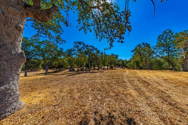 Listing Image #3 - Others for sale at 54544 Sunshine Terrace Drive, Coarsegold CA 93614