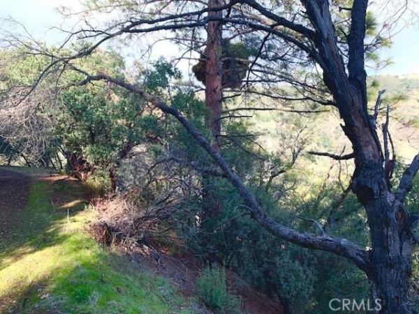 Listing Image #2 - Land for sale at 7333 Tehama Street, Nice CA 95464