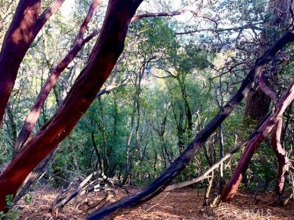 Listing Image #3 - Land for sale at 7333 Tehama Street, Nice CA 95464