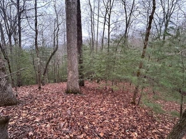 Listing Image #2 - Land for sale at Lot 12A Oak Loop, Mineral Bluff GA 30559