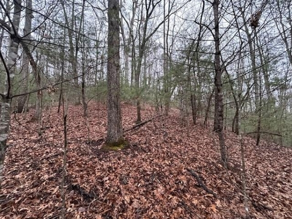 Listing Image #3 - Land for sale at Lot 12A Oak Loop, Mineral Bluff GA 30559