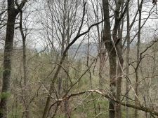 Land property for sale in Mineral Bluff, GA