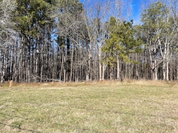 Listing Image #2 - Land for sale at Parcel 24 Ocean Hwy, Westover MD 21871