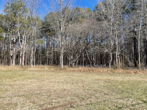Listing Image #3 - Land for sale at Parcel 24 Ocean Hwy, Westover MD 21871