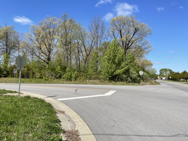 Listing Image #2 - Others for sale at 10311 Fleming, Carterville IL 62918