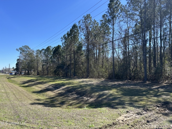 Listing Image #2 - Land for sale at 0 90 Highway, Gautier MS 39553