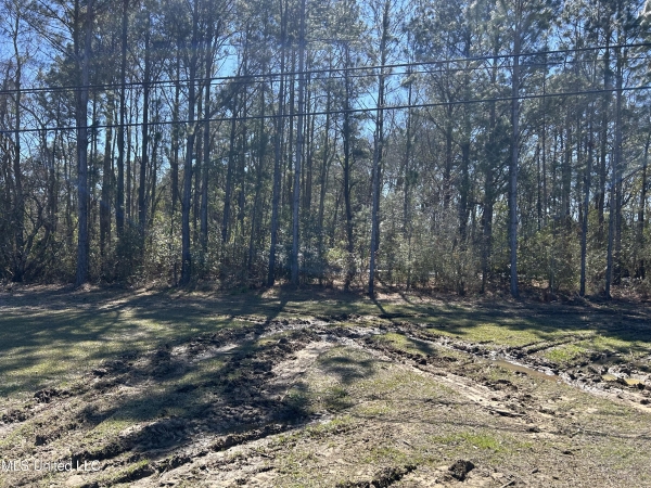 Listing Image #3 - Land for sale at 0 90 Highway, Gautier MS 39553