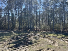 Listing Image #3 - Land for sale at 0 90 Highway, Gautier MS 39553