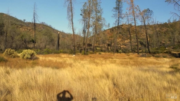 Listing Image #1 - Land for sale at Butts Canyon Rd, Pope Valley CA 94567