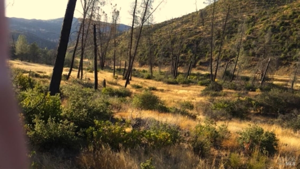 Listing Image #2 - Land for sale at Butts Canyon Rd, Pope Valley CA 94567
